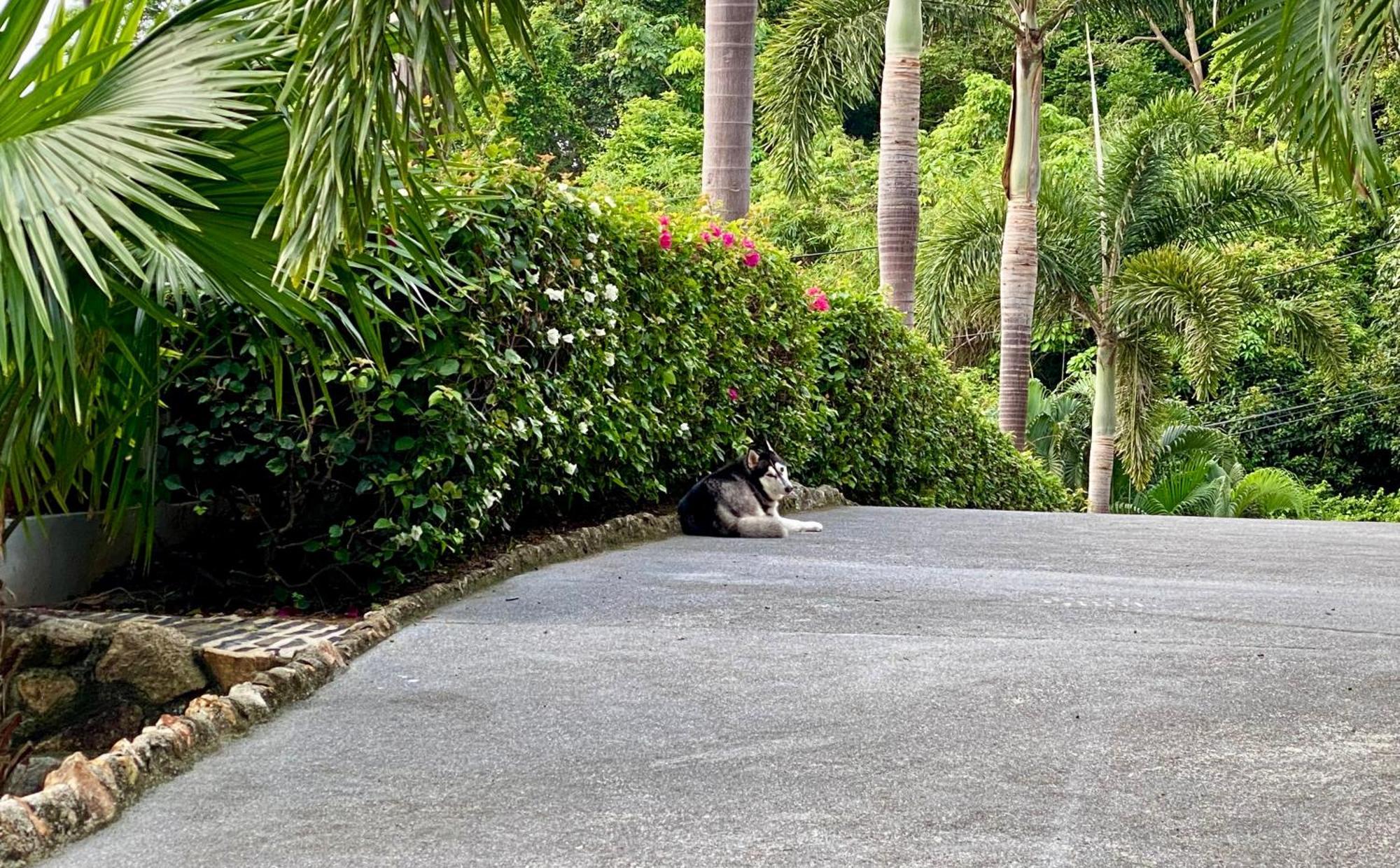 Ko Samui Seaview Pool Villa Seren With Car Praia de Laem Set Exterior foto